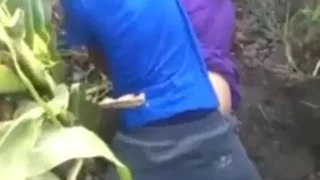 Video Tercyduk Mesum di Kebun Jagung